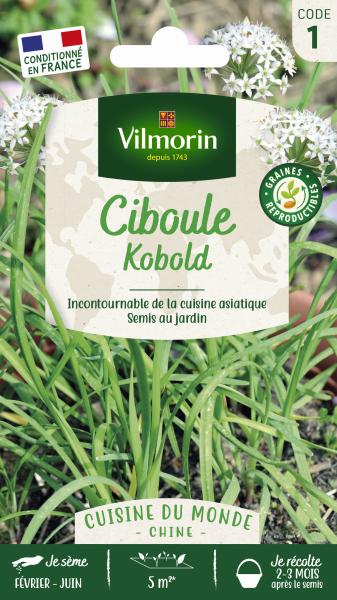 Aromatiques - Ciboule de Chine - Cuisine du Monde - PACKAGING_RECTO